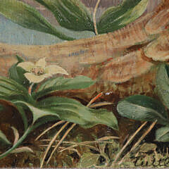 Henry Emerson Tuttle Egg Tempura on Masonite “Ruffled Grouse”, circa 1944