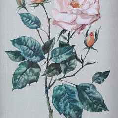 Pair of A. Bender Watercolor on Paper “Floral Still Lifes”, circa 1999