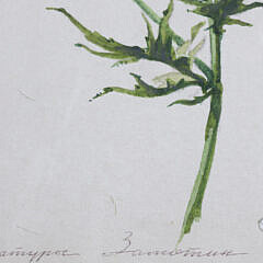 Pair of A. Bender Watercolor on Paper “Floral Still Lifes”, circa 1999