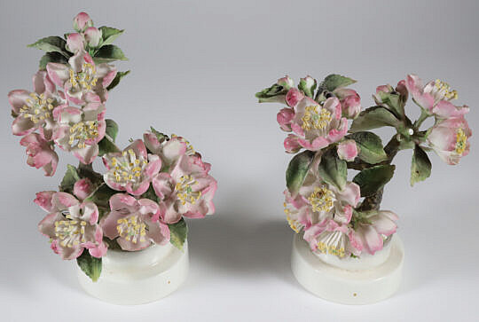 19-3561 Royal Worcester Porcelain Apple Bloosm and Bee A IMG_9472
