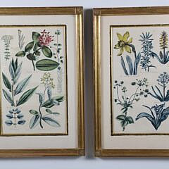 Pair of John Hill Hand Colored Copper Plate Engravings, "Garden of Eden"