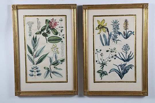 Pair of John Hill Hand Colored Copper Plate Engravings, "Garden of Eden"
