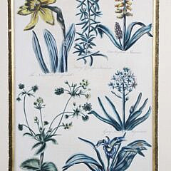 Pair of John Hill Hand Colored Copper Plate Engravings, “Garden of Eden”, 18th Century