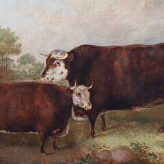 Oil on Canvas “Portrait of a Bull and Cow”, 19th Century