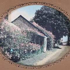 Vintage Nantucket Hand Colored Photograph “Siasconset Rose Covered Cottage”