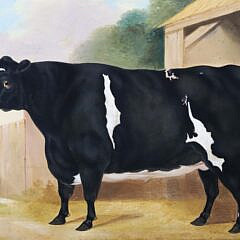 English Oil on Canvas “Portrait of a Champion Heifer”, 19th Century
