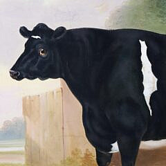 English Oil on Canvas “Portrait of a Champion Heifer”, 19th Century