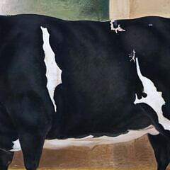 English Oil on Canvas “Portrait of a Champion Heifer”, 19th Century