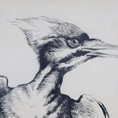 Henry Emerson Tuttle Artist Trial Etching #2 “Pileated Woodpecker”