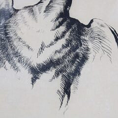 Henry Emerson Tuttle Artist Trial Etching #2 “Pileated Woodpecker”