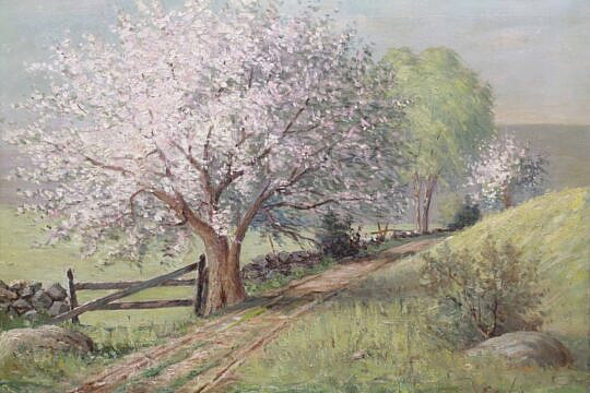 42721 EG Hapgood Oil Portrait of a Tree A_IMG_0036