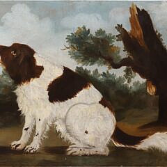 American Folk Art Oil on Wood Panel Portrait of a Spaniel