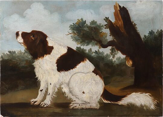 American Folk Art Oil on Wood Panel Portrait of a Spaniel