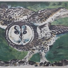 Hans Erni Limited Edition 5-Color Lithograph “Hibou”, circa 1959