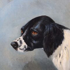 Oil on Canvas “Portrait of a Spaniel” Initialed and Dated 1903