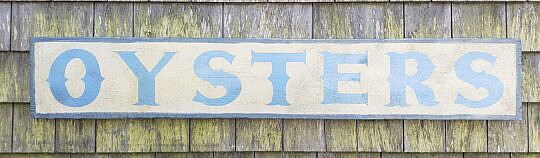 4023-955 Oyster Sign A
