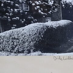 Pair of Vintage Dick Williams Black and White Nantucket Photographs