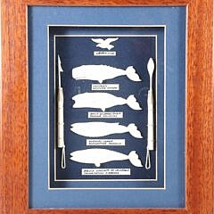 Azorian Carved Whale Shadowbox circa 2005