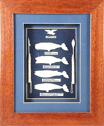 Azorian Carved Whale Shadowbox circa 2005