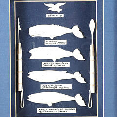 Azorian Carved Bone Whale Shadowbox, circa 2005
