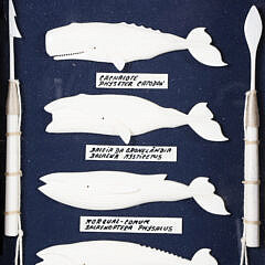 Azorian Carved Bone Whale Shadowbox, circa 2005