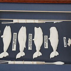 Azorian Carved Bone Whale Shadowbox, circa 2005