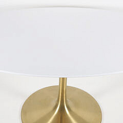 Mid Century Style Modway “Lippa” Oval Tulip Table