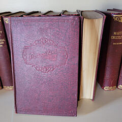 Collection of Charles Dickens in 16 Volumes