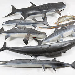 Eight Assorted Fish Trophies
