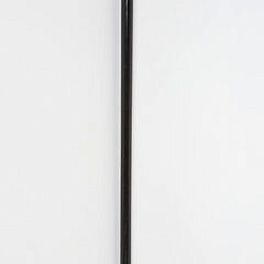 Gold Grip Walking Stick, circa 1871