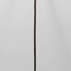 4-5497 Cast Iron Toggle Harpoon A_IMG_9979 4