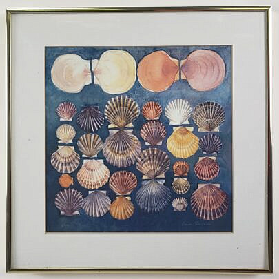 4035-955 Louise Russell Shells A