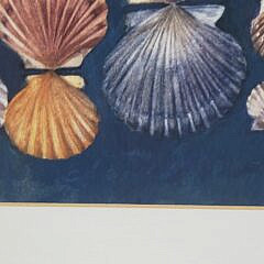 Vintage Louise Russell Limited Edition Nantucket Silkscreen, “Scallop Shells”