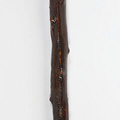 Sailor Made Antique Walrus Ivory and Branch Walking Stick, 19th Century