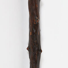 Sailor Made Antique Walrus Ivory and Branch Walking Stick, 19th Century