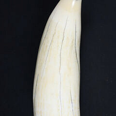 Antique Polychromed Scrimshaw Tooth Signed B. Kay Kwakine