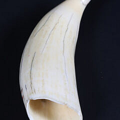 Antique Polychromed Scrimshaw Tooth Signed B. Kay Kwakine