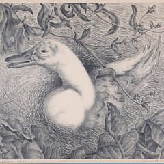 Elizabeth Saltonstall Limited Edition Lithograph, “Great Expectations”, Ed. #50