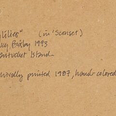 Lucy Bixby 1993 Photograph “Day Lilies”