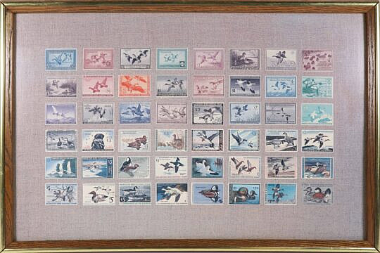 14-5205 Framed Stamp Collection A_IMG_9872