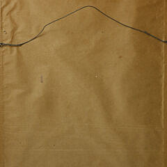 Roy Bailey Watercolor on Paper “Avocado Tree in a Clay Pot”