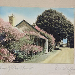 Two Vintage Hand Tinted Nantucket Photographs