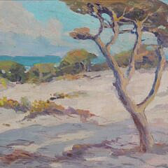 M. DeNeale Morgan “Dunes Point Pinos and Pines”
