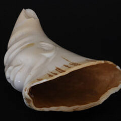 Hawaiian or Polynesian Carved Bust Whale Tooth, early 20th Century