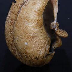 Antique Decorated Whalebone Whale Ear Drum, 19th Century
