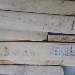 Seventeen Polished Whalebone Page Turners, Corset Staves or Tongue Depressors, 19th Century
