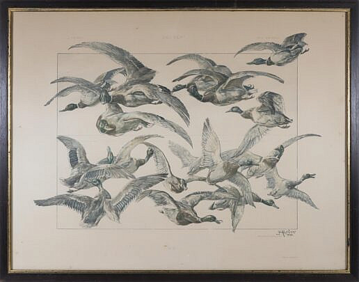 8-4942 Anton Seder Engraving Das Tier A_IMG_9932