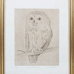 117-5131 Saw Whet Owl Print A_IMG_9432