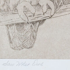 Dorothea Limited Edition Print Saw Whet Owl