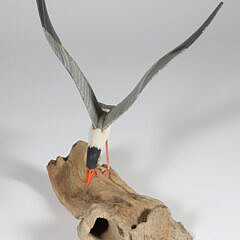 Small Tern Sculpture, circa 1971